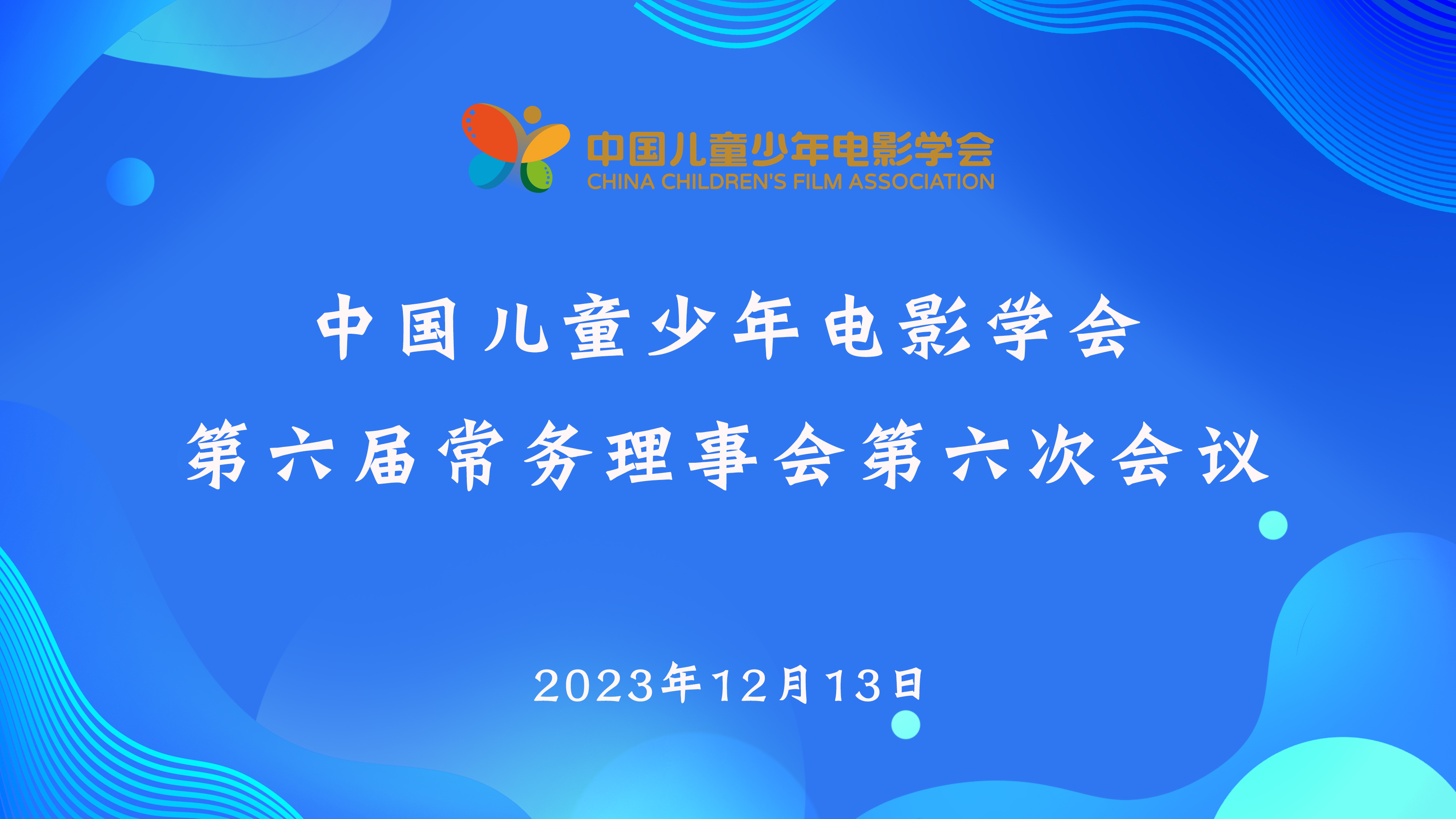 常务理事会6-6.jpg