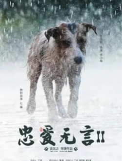 《忠爱无言2》