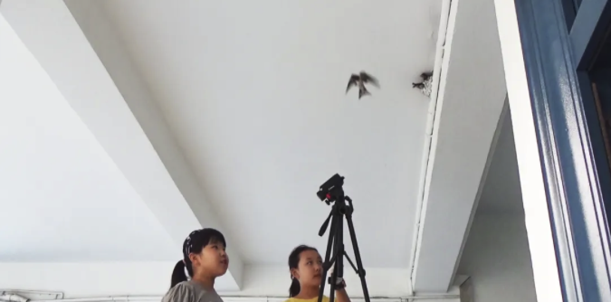 《雏燕心怀凌云志》拍摄现场.png