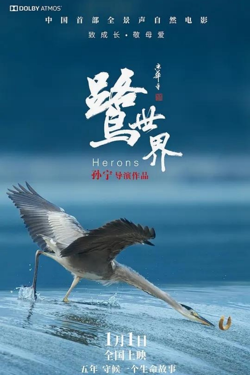 《鹭世界》.jpeg