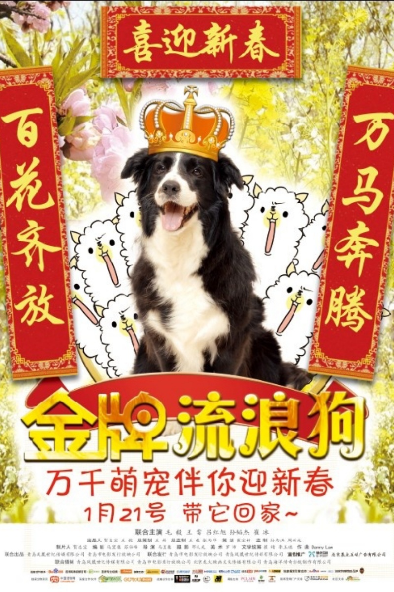 《金牌流浪狗》.jpg